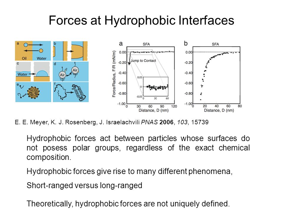 Forces at Hydrophobic Interfaces