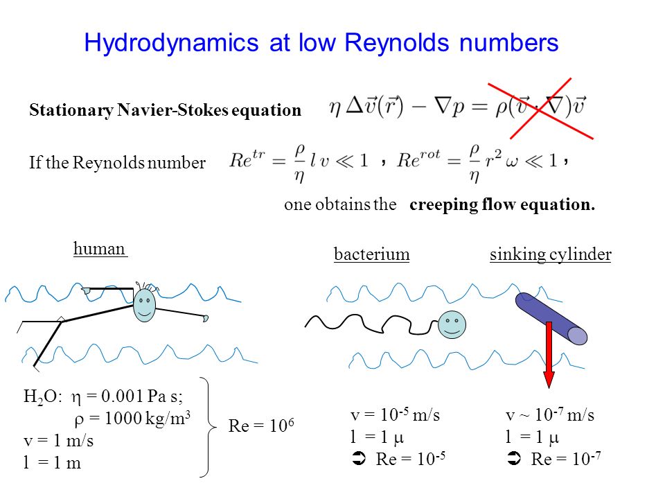Hydrodynamics at low Reynolds numbers