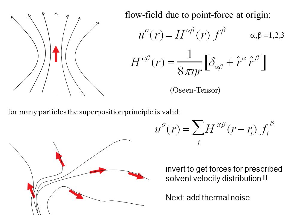 flow-field due to point-force at origin: