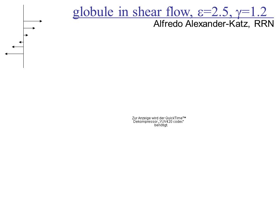 globule in shear flow, =2.5, =1.2