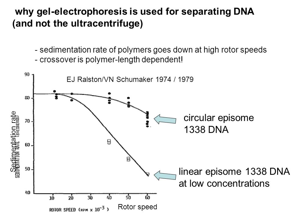 why gel-electrophoresis is used for separating DNA