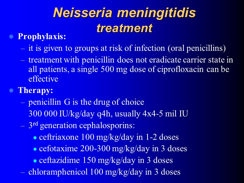 Neisseria meningitidis treatment