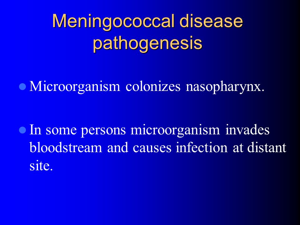 Meningococcal disease pathogenesis