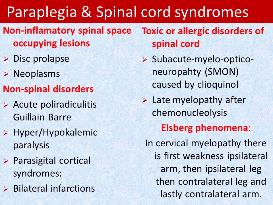 PARAPLEGIA AND SPINAL CORD SYNDROMES - ppt video online download