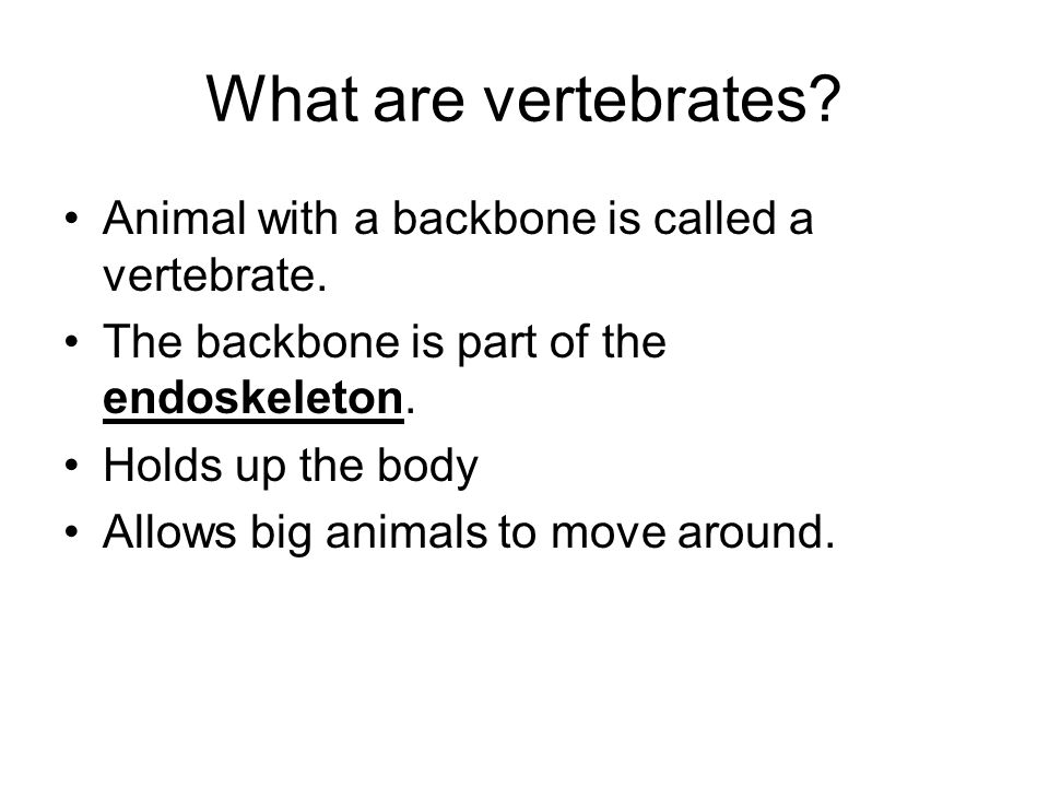 Lesson 2 Animals With Backbones - ppt download
