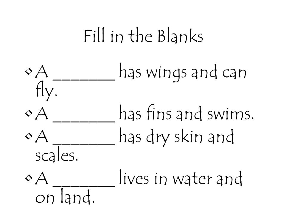 Fill in the Blanks A _______ has wings and can fly. A _______ has fins and swims. A _______ has dry skin and scales.