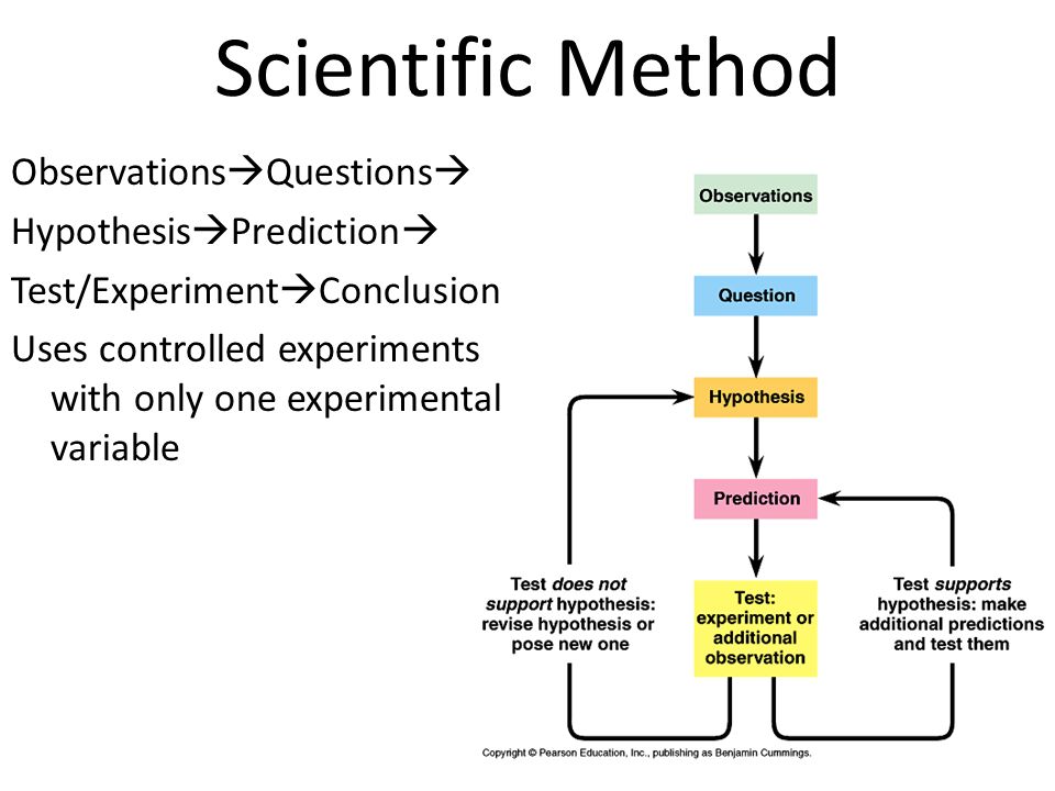 Scientific method. Method and methodology. Scientific research methodology. Menina Moca Ноты.