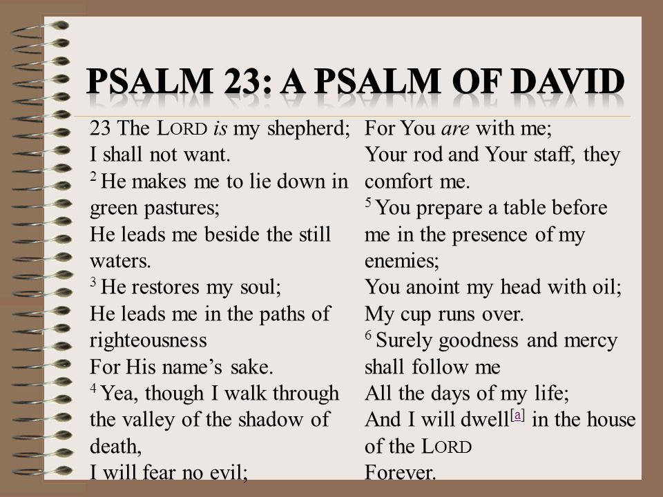 Psalm 23: a psalm of david