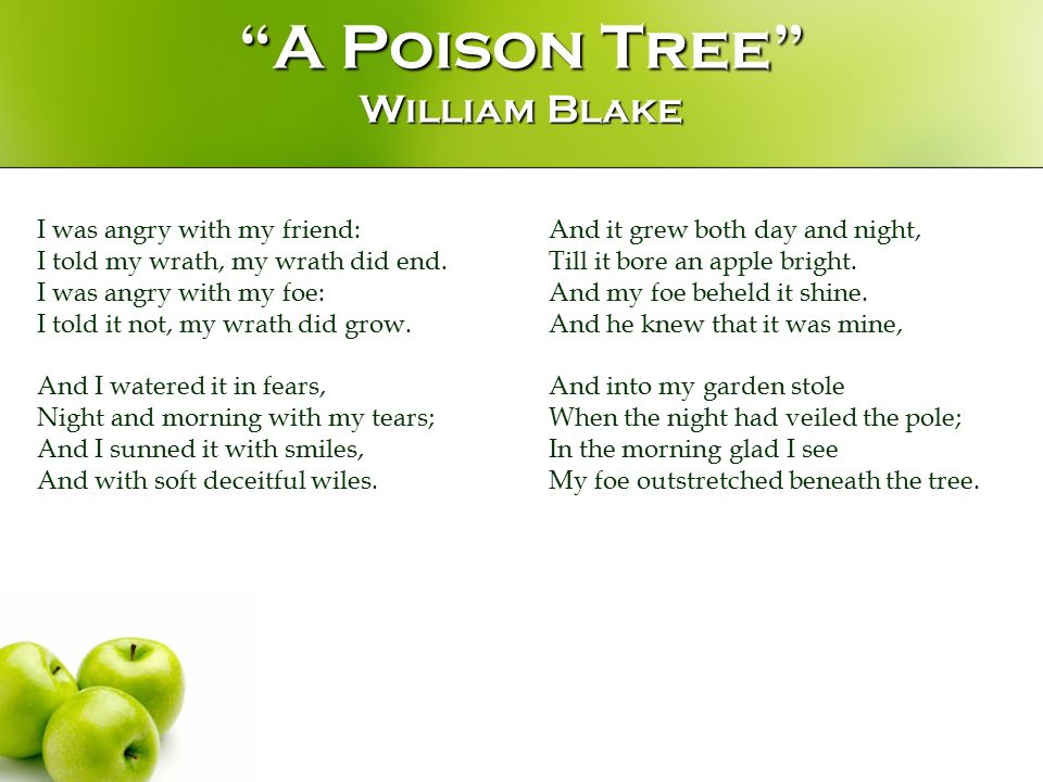 Poison перевод на русский песня. Poison Tree William Blake. “A Poison Tree” Blake. A Poison Tree стих. Poison Tree Grouper.