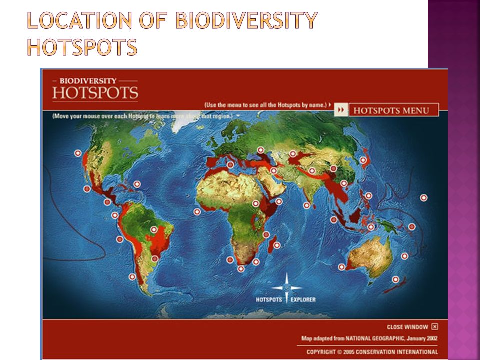Location of Biodiversity hotspots