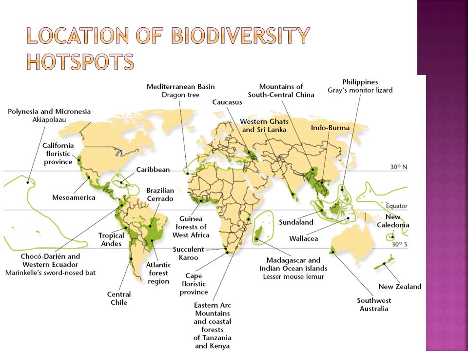Location of biodiversity hotspots