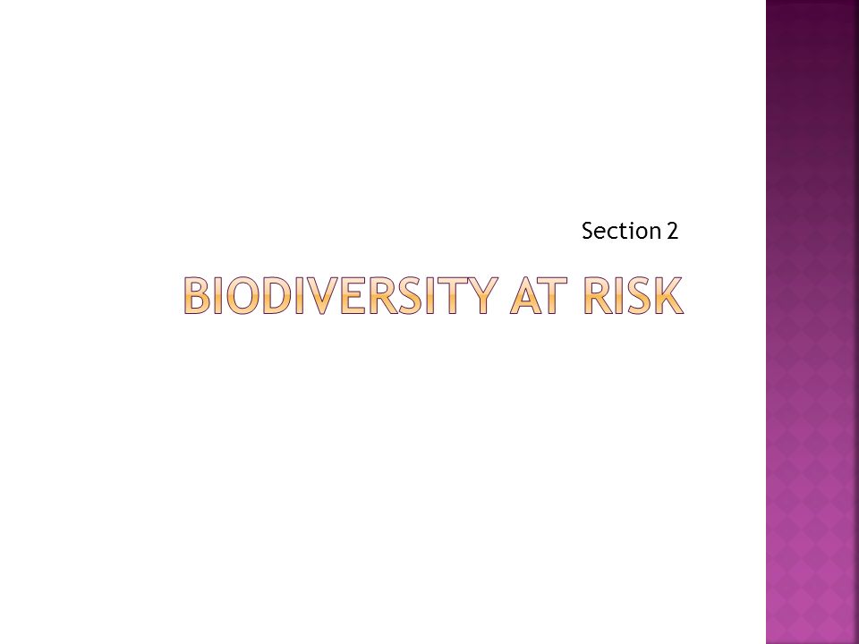 Section 2 Biodiversity at Risk