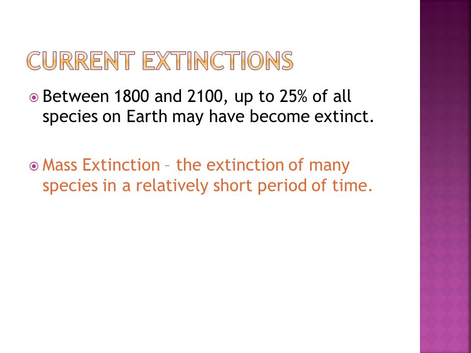 Current extinctions Between 1800 and 2100, up to 25% of all species on Earth may have become extinct.