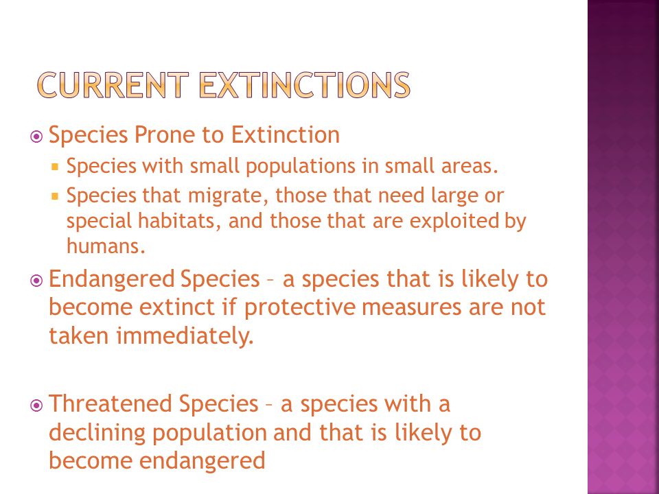 Current extinctions Species Prone to Extinction