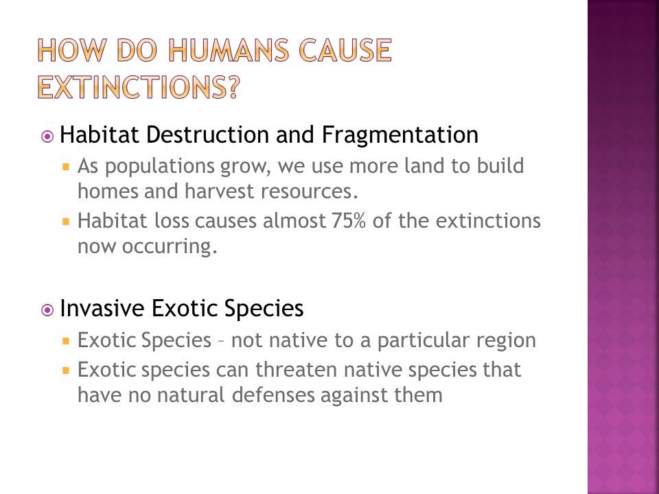 How Do Humans cause Extinctions
