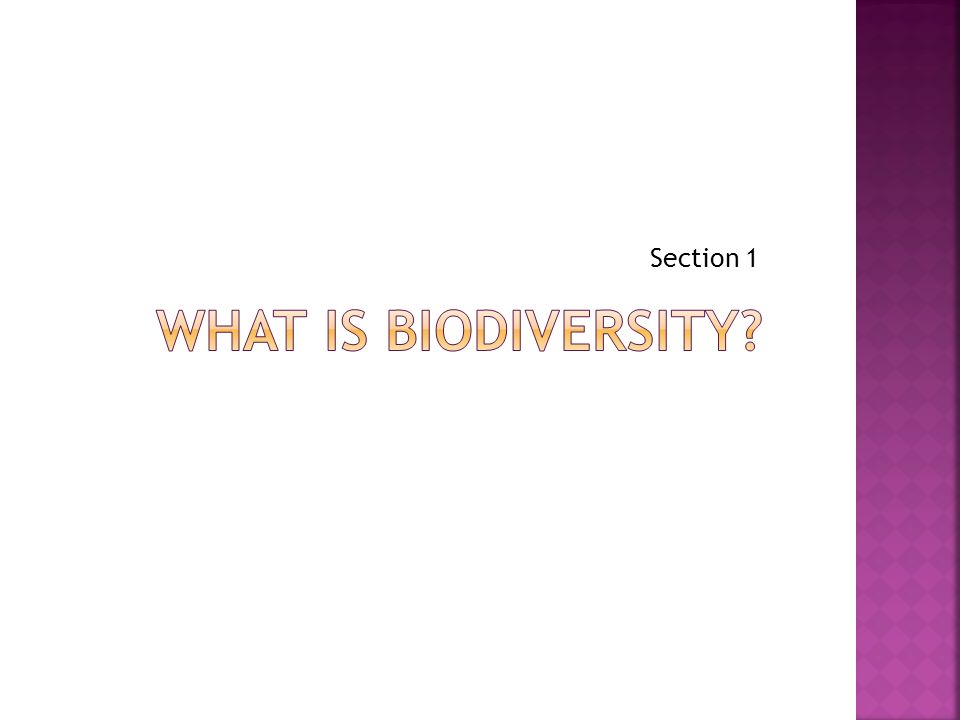 Section 1 What is biodiversity