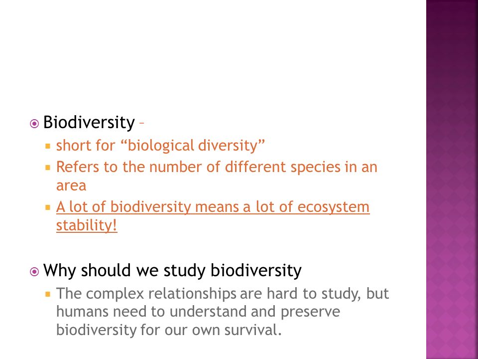 Why should we study biodiversity