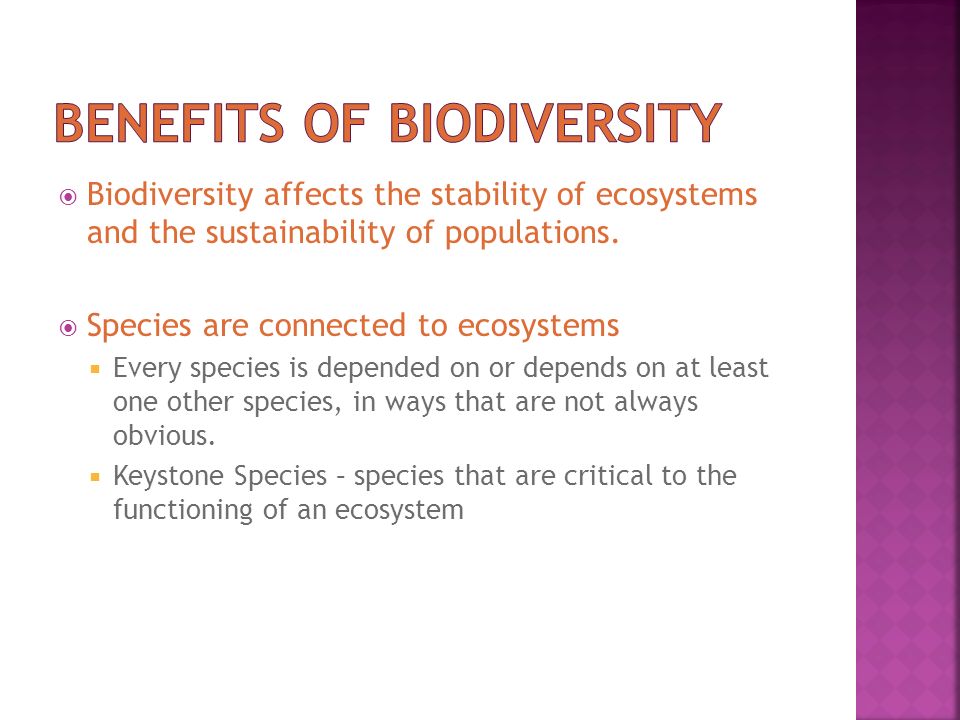Benefits of biodiversity