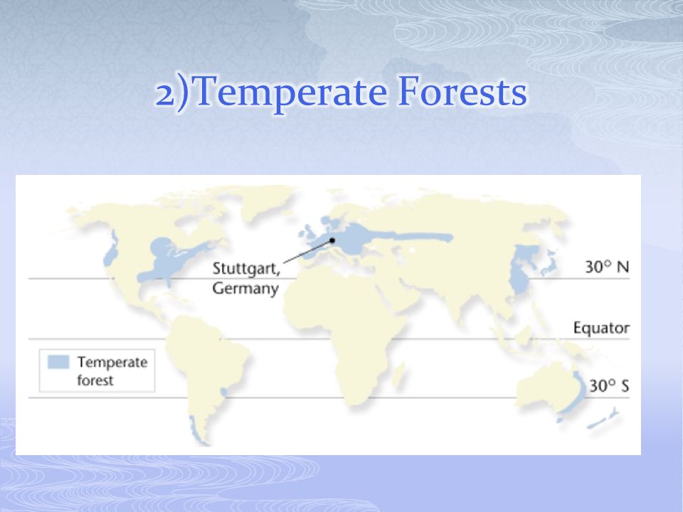 2)Temperate Forests