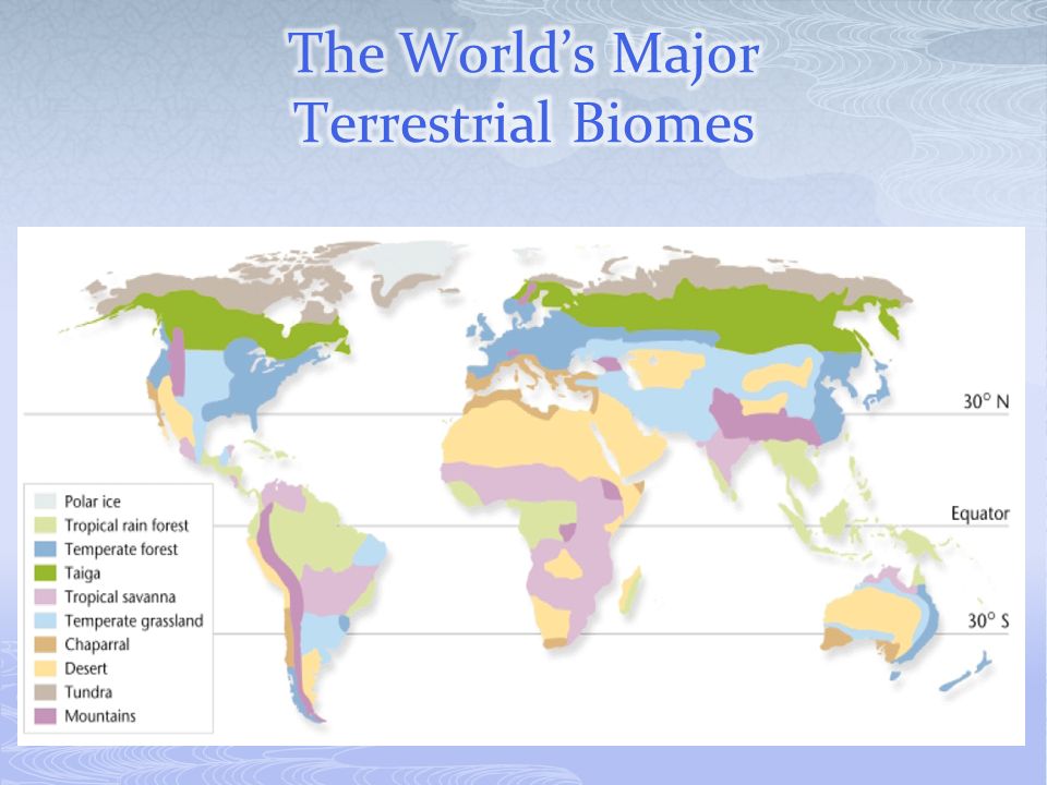 The World’s Major Terrestrial Biomes