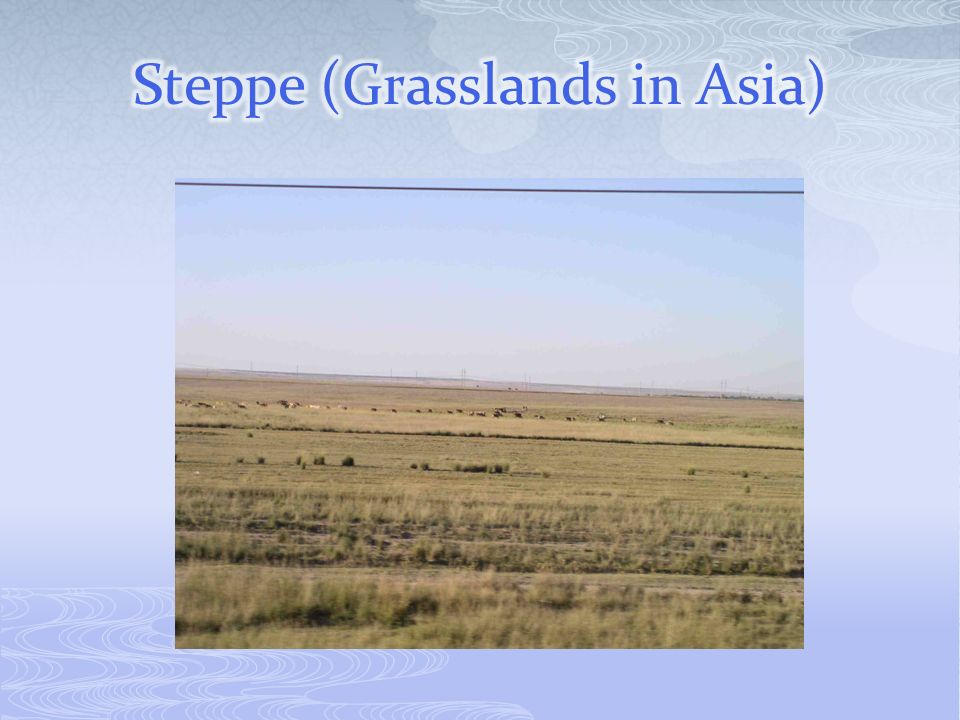 Steppe (Grasslands in Asia)