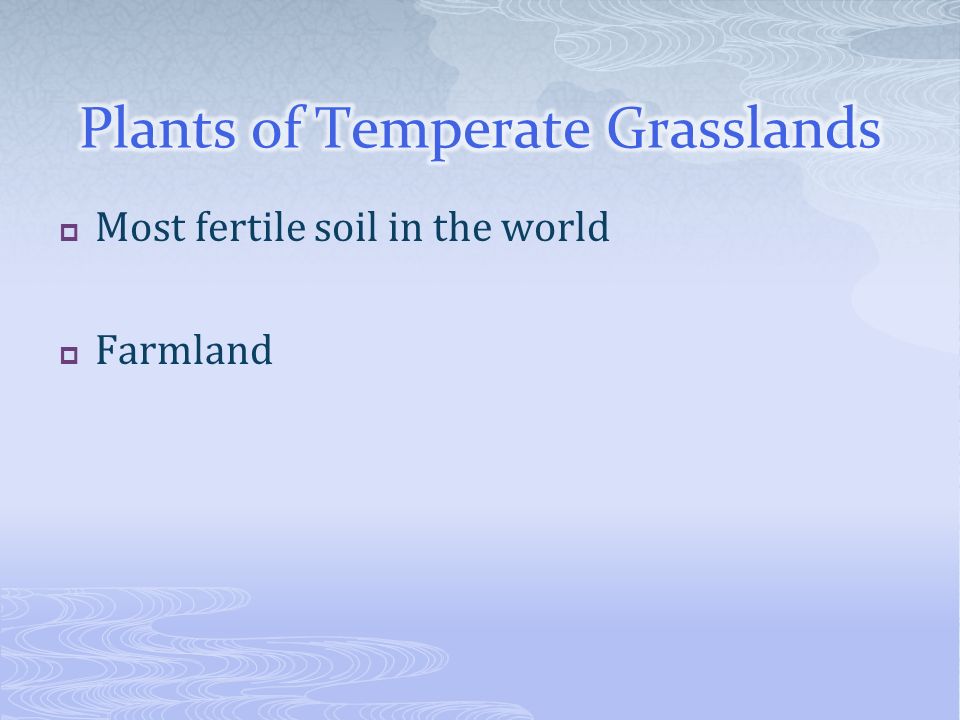 Plants of Temperate Grasslands