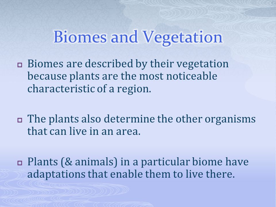 Biomes and Vegetation Biomes are described by their vegetation because plants are the most noticeable characteristic of a region.