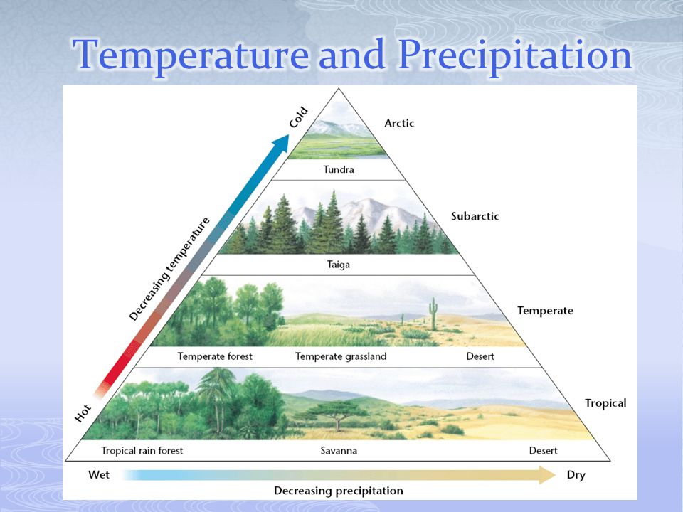 Temperature and Precipitation