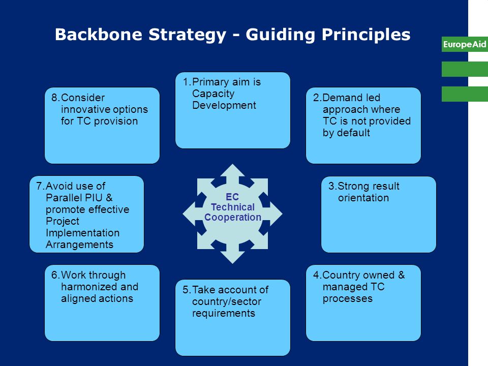 Backbone Strategy - Guiding Principles