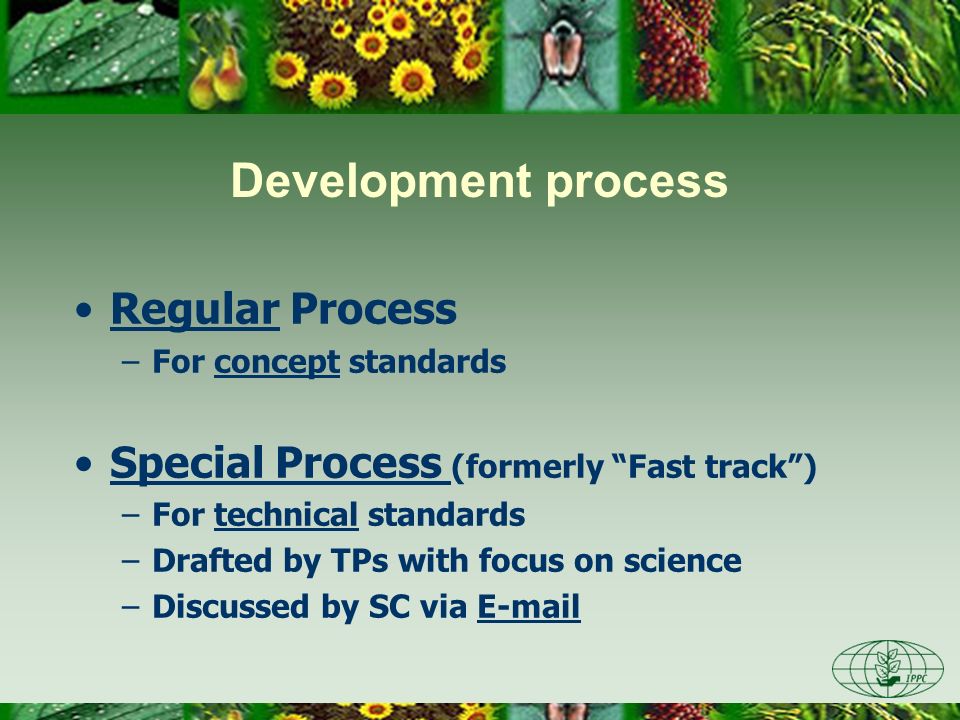Development process Regular Process