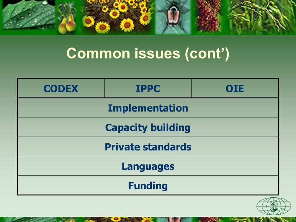 Common issues (cont’) CODEX IPPC OIE Implementation Capacity building