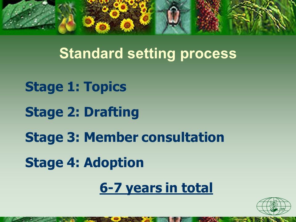 Standard setting process