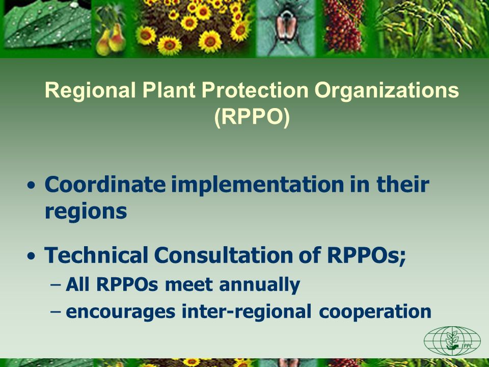 Regional Plant Protection Organizations (RPPO)
