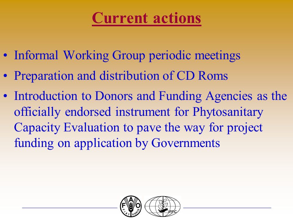 Current actions Informal Working Group periodic meetings