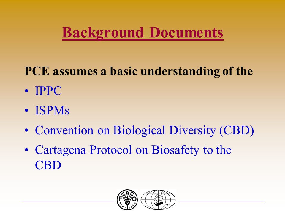 Background Documents PCE assumes a basic understanding of the IPPC