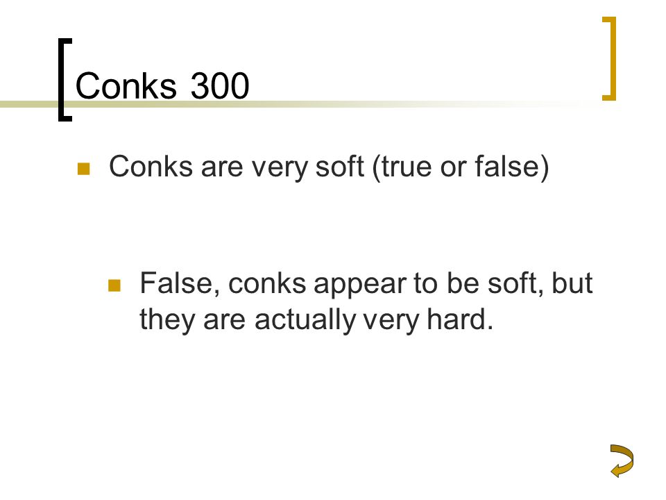 Conks 300 Conks are very soft (true or false)