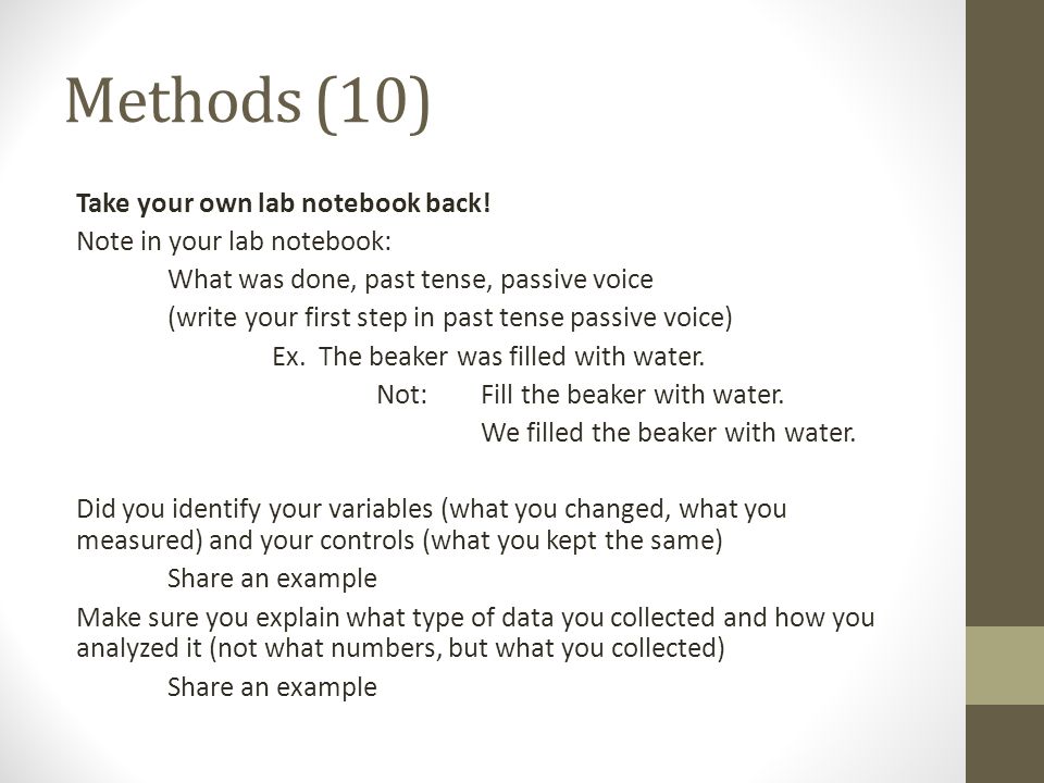 lab report method example