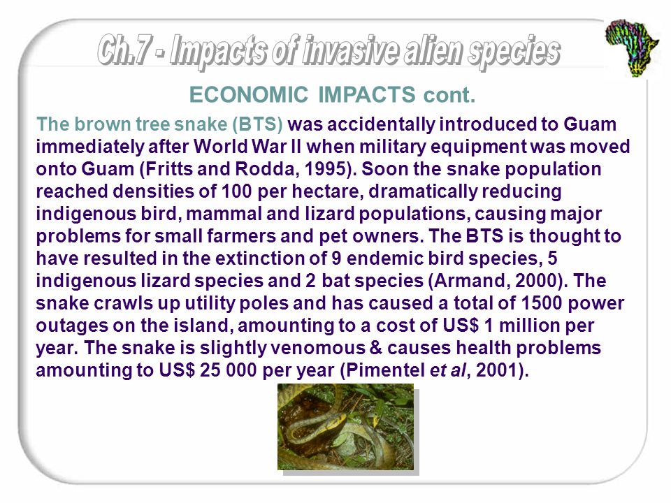 Impacts Of Invasive Species Ppt Download