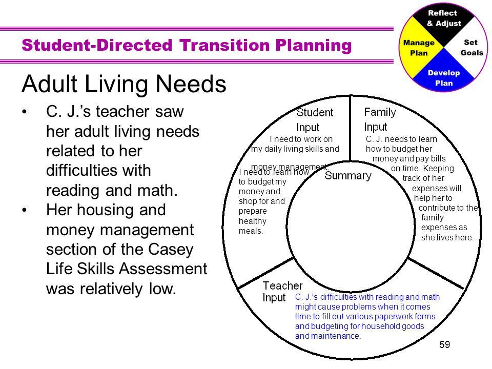 Vision For Adult Living Ppt Video Online Download