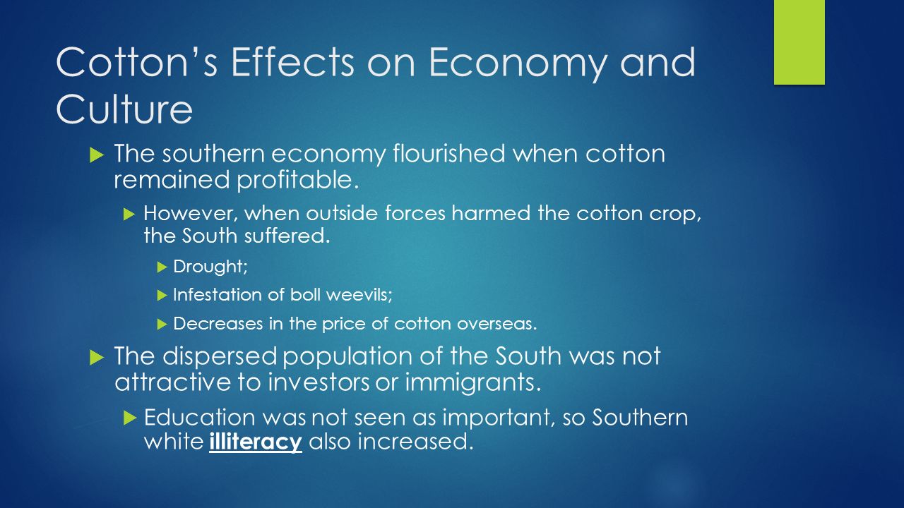 Cotton’s Effects on Economy and Culture