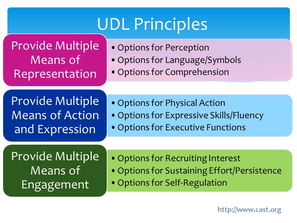 Udl Principles Chart