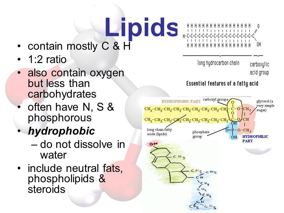 Lipids contain mostly C & H 1:2 ratio