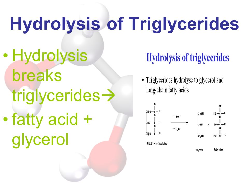 Hydrolysis of Triglycerides