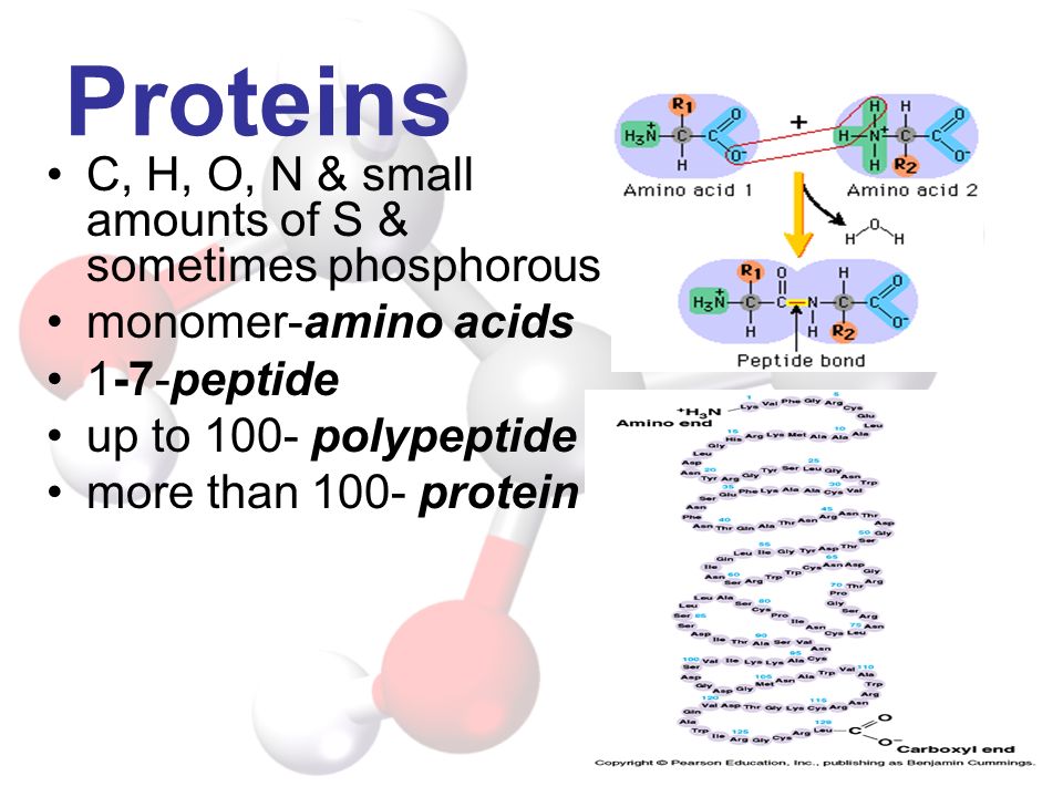 Proteins C, H, O, N & small amounts of S & sometimes phosphorous