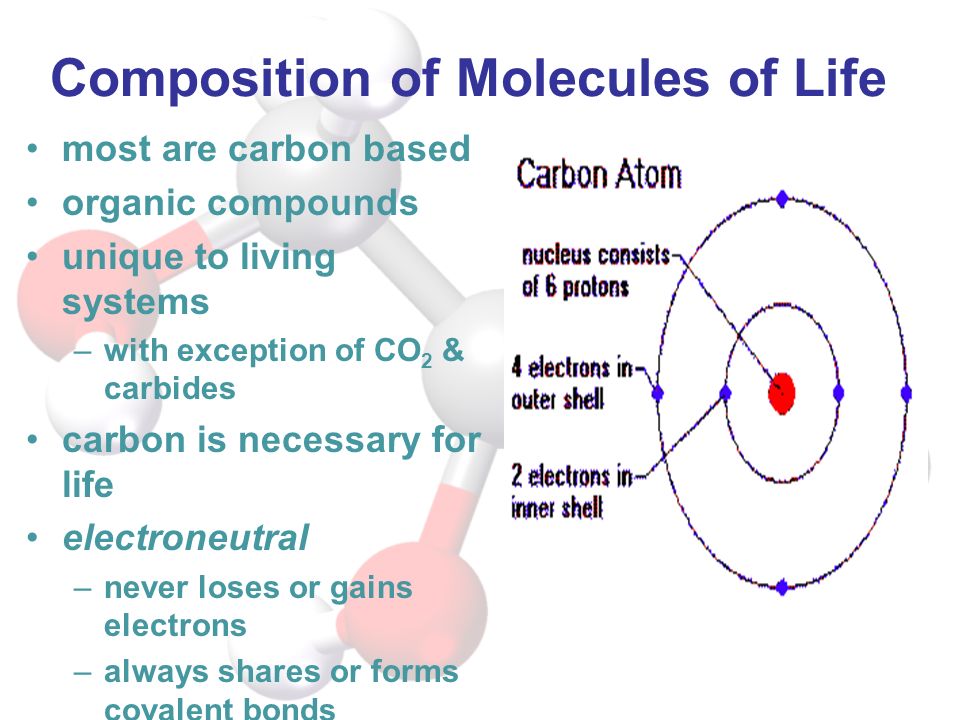 Composition of Molecules of Life
