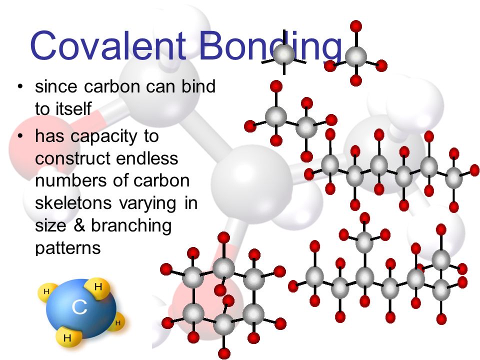 Covalent Bonding since carbon can bind to itself