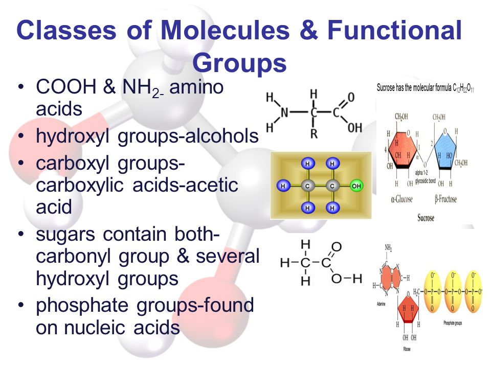 Classes of Molecules & Functional Groups