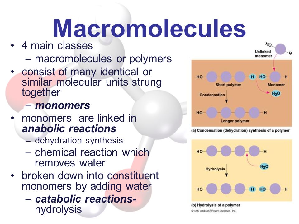 Macromolecules 4 main classes macromolecules or polymers