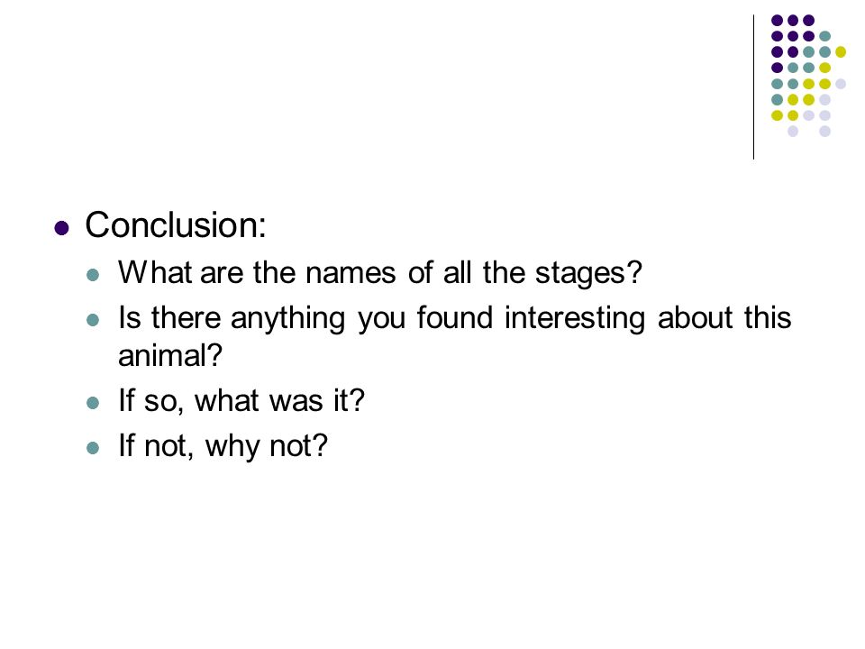 Conclusion: What are the names of all the stages