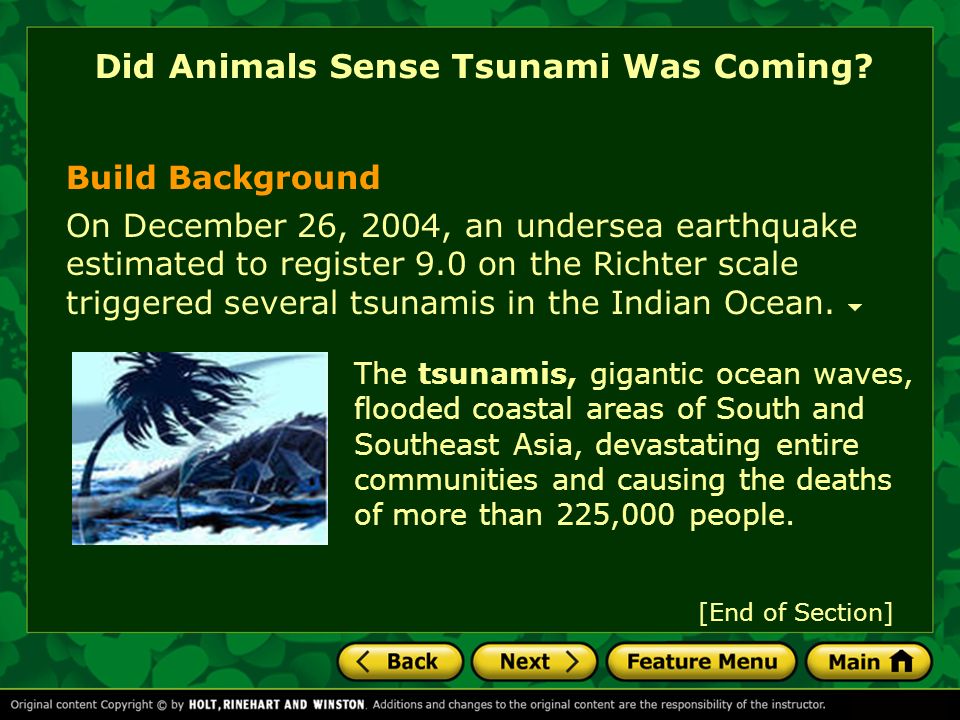 Did Animals Sense Tsunami Was Coming? - ppt video online download
